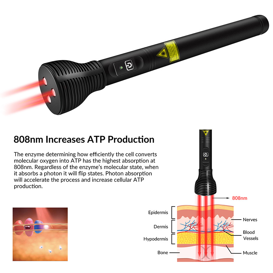Handgerät für Rotlichttherapie – Red Light Therapy Device Bewertung und Preis
