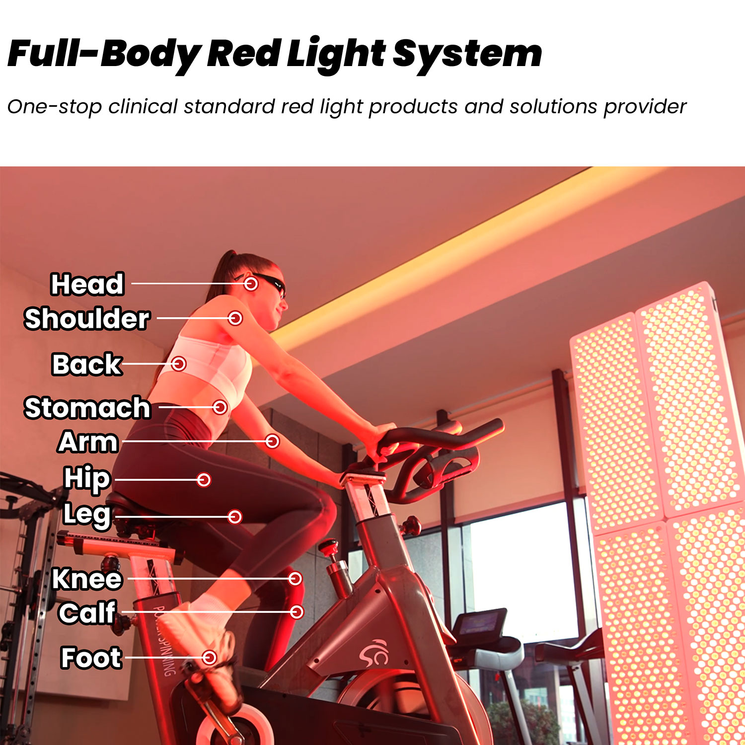 2026 IDEATHERAPY RL300MAX-CH G – Red Light Therapy Device Bewertung und Preis