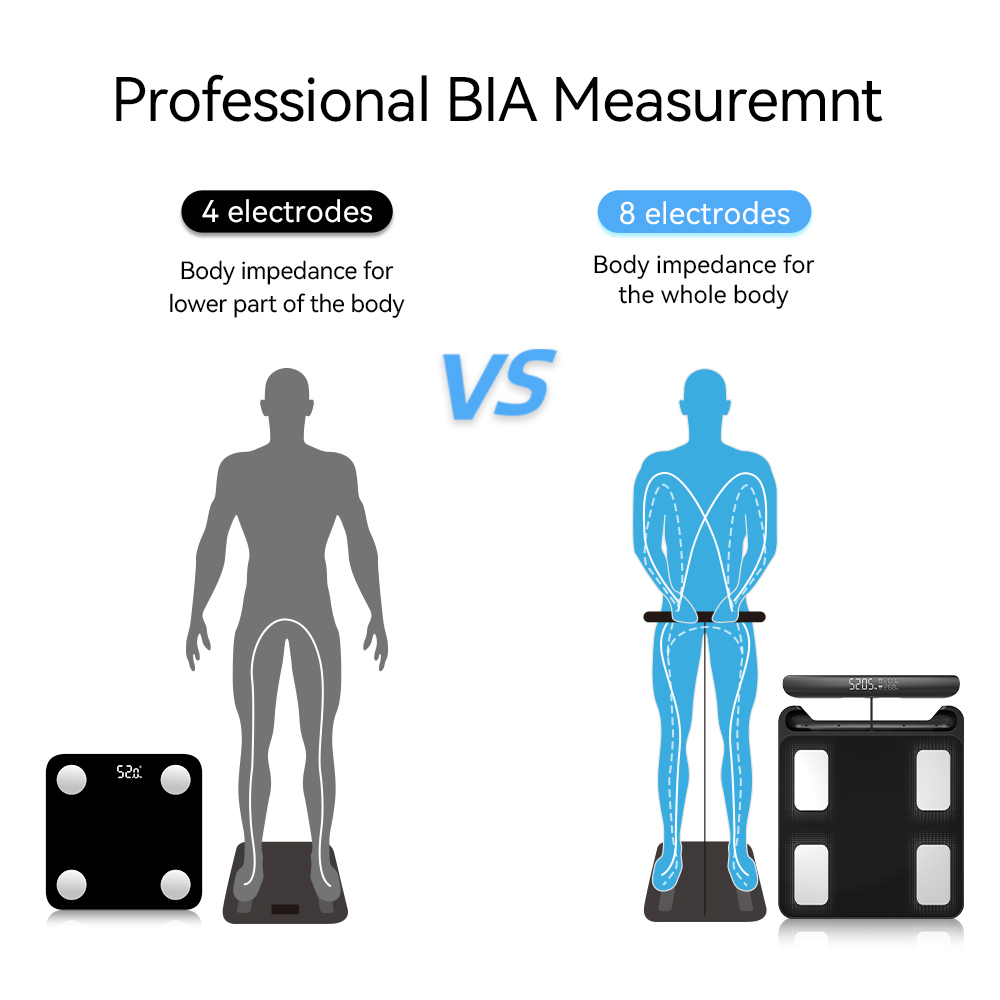 Intelligente Waage für Körperg – Digital Body Weight Scale Bewertung und Preis