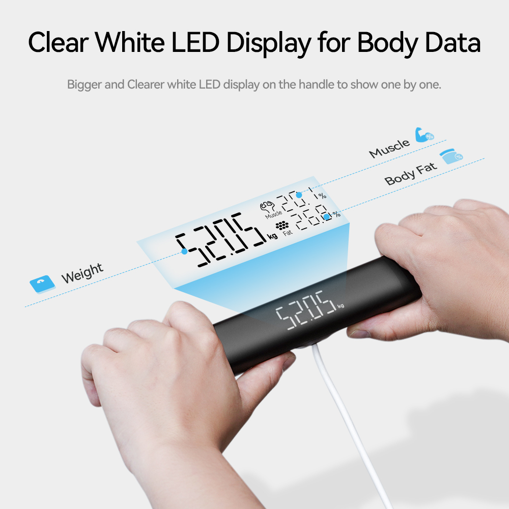 Intelligente Waage für Körperg – Digital Body Weight Scale Bewertung und Preis
