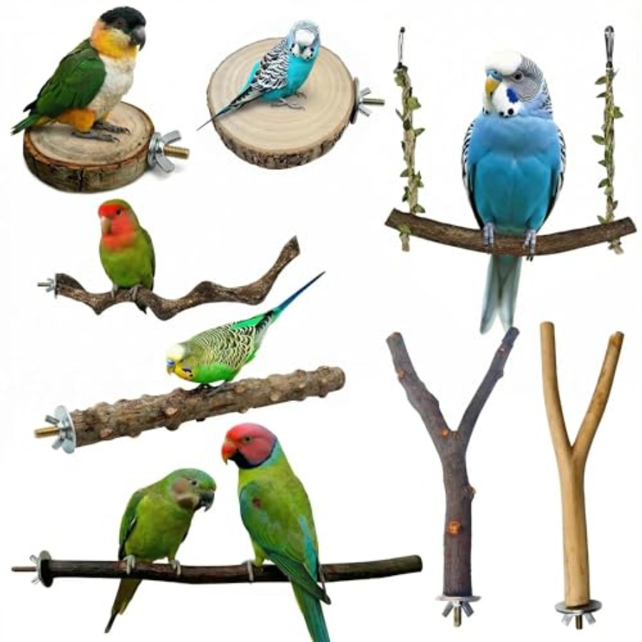 8 Stück Vogelsitzstangen aus N – Health & Wellness Lions Bewertung und Preis